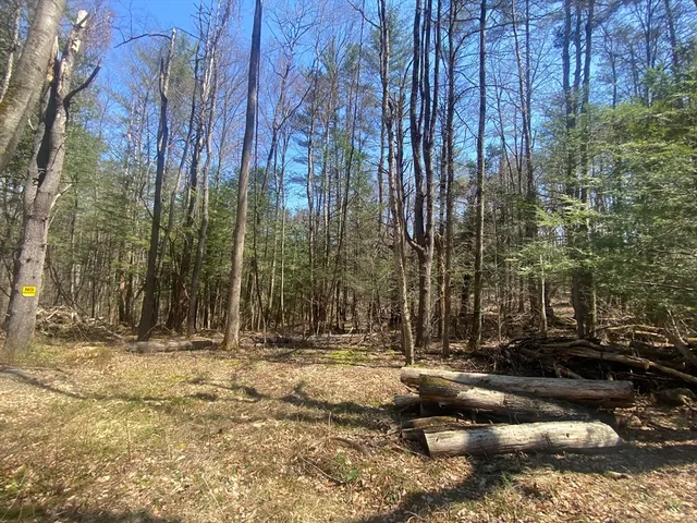 $75,000 | 0 Schaefer Way, Charlemont, MA 01339