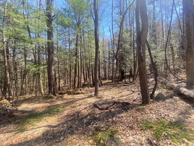 $75,000 | 0 Schaefer Way, Charlemont, MA 01339