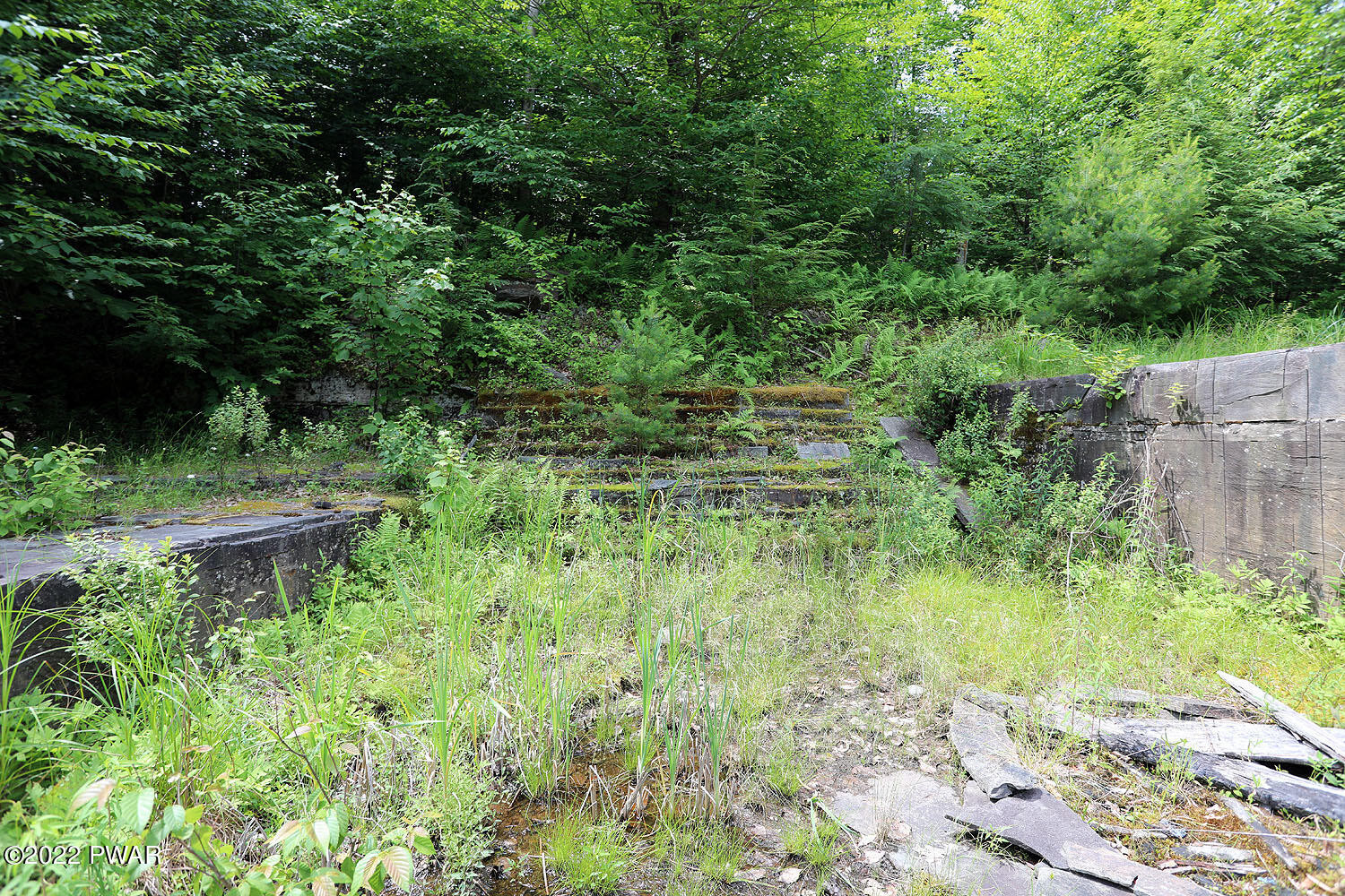 0 Minckler Mountain Road Damascus, PA 18415 - Photo 27 of 43