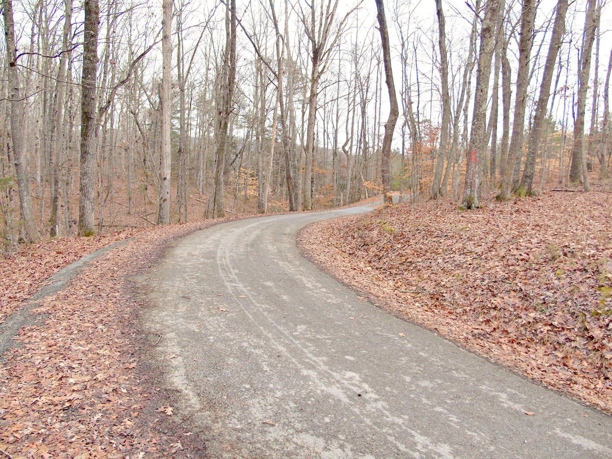 0 Cottonport Ferry Road Decatur, TN 37322 - Photo 11 of 11 Gallery Image 11