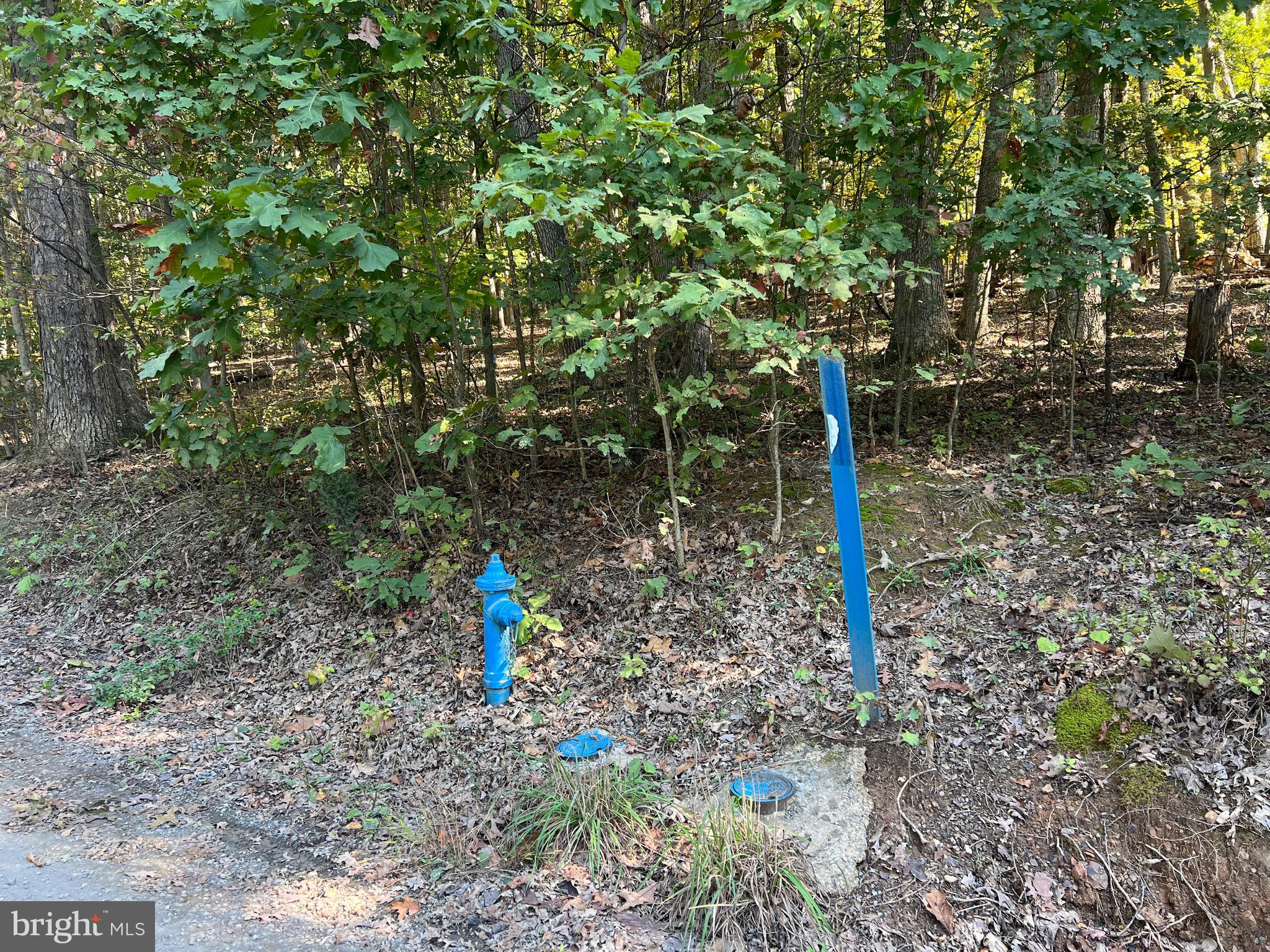 1604 High Knob Road Old Fields, WV 26845 - Photo 77 of 113 Public Water at bottom of