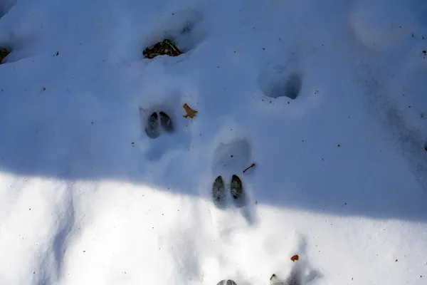 $209,888 | 183 Fish, Montello, WI 53949