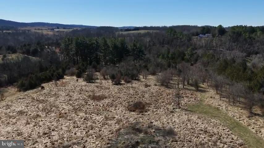 0 Booth Road Lovettsville, VA 20180 - Photo 12 of 18 a view of a forest