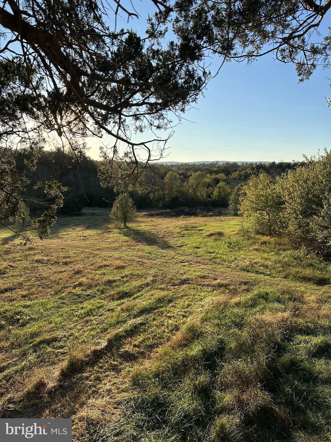 0 Booth Road Lovettsville, VA 20180 - Photo 7 of 16 Meadow