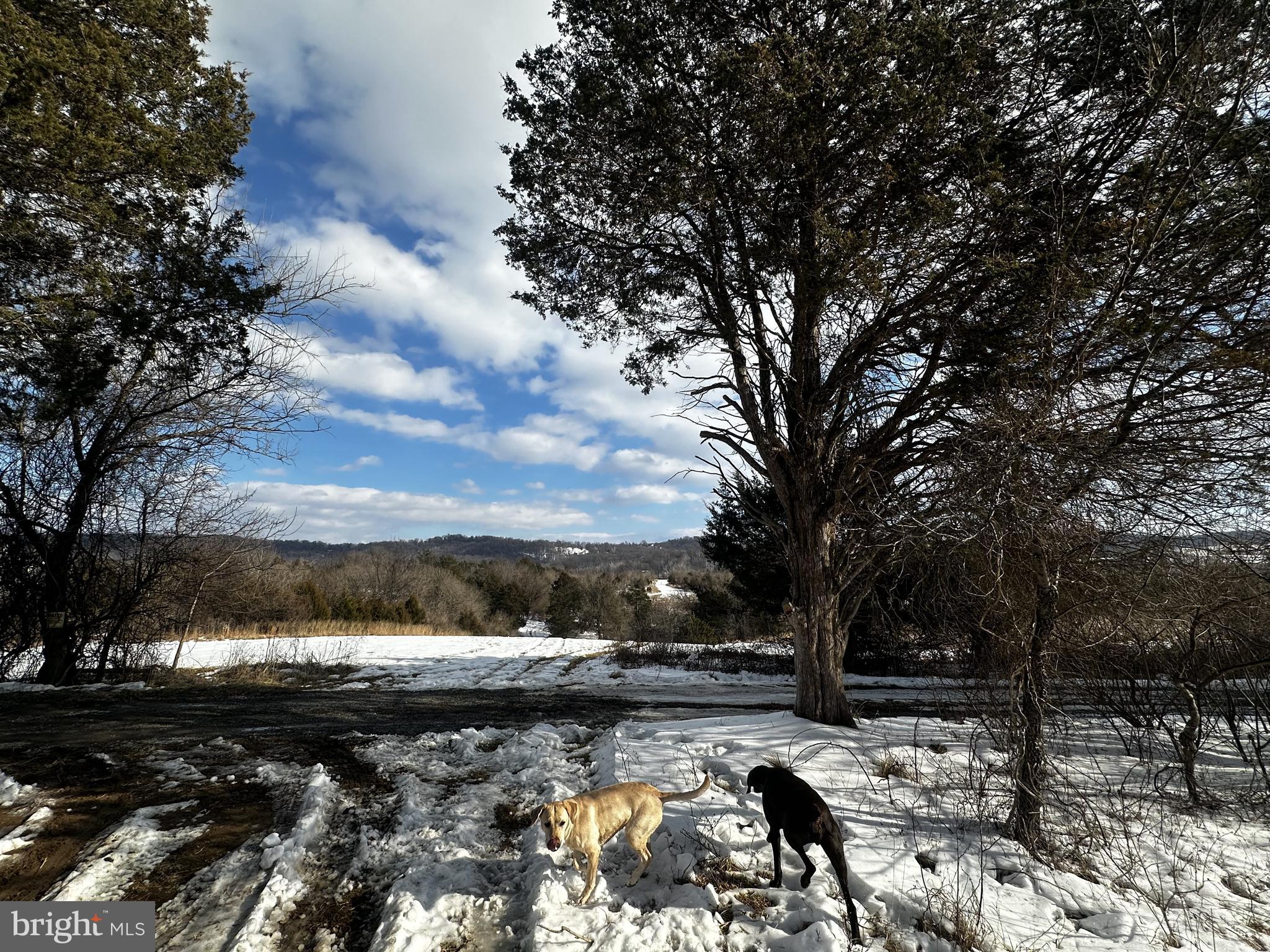0 Booth Road Lovettsville, VA 20180 - Photo 10 of 16 Beautiful Mountain Views