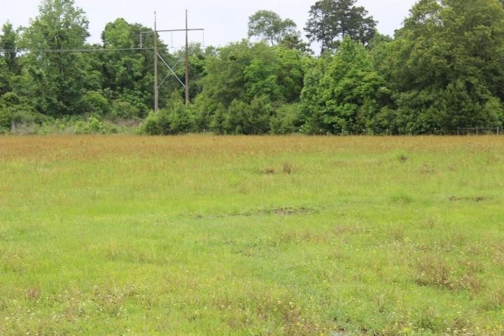 0 Robertson Road Tickfaw, LA 70466 - Photo 8 of 10 Gallery Image 8