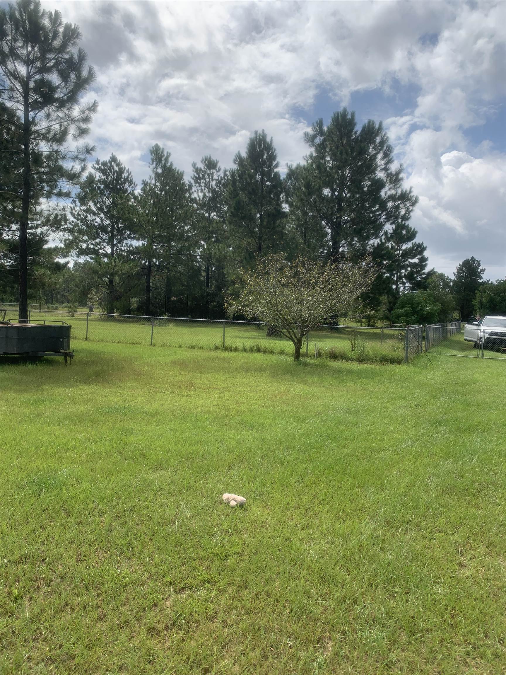 0 Gilley Road Lillian, AL 36549 - Photo 3 of 8