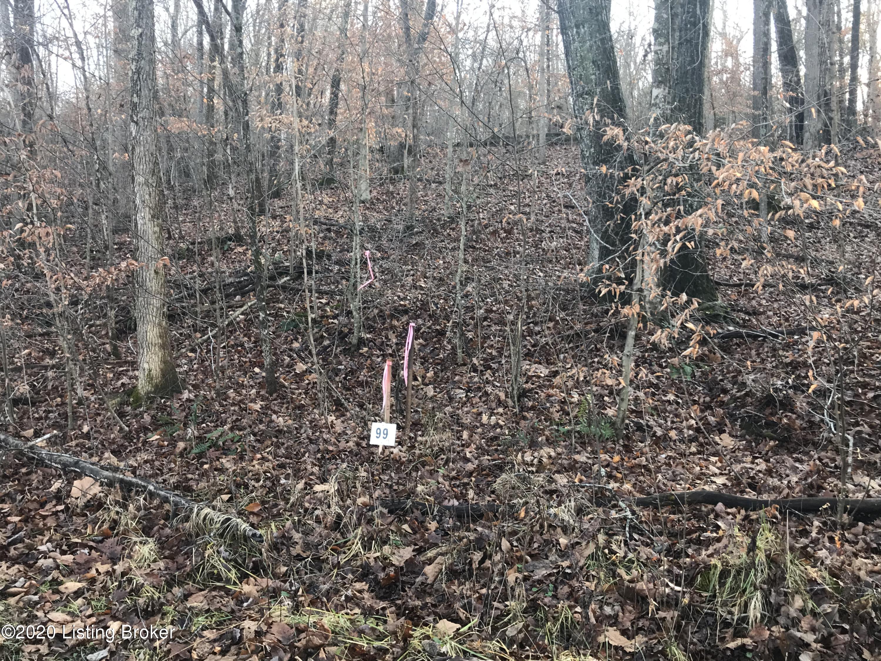 Lot 99 Gannaway Road Leitchfield, KY 42754 - Photo 1 of 2 Fawn Hill
