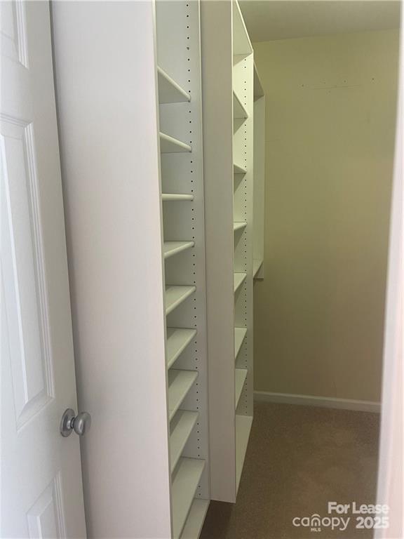 11917 Stratfield Pl Circle, Unit 118 Pineville, NC 28134 - Photo 18 of 28 a view of closet