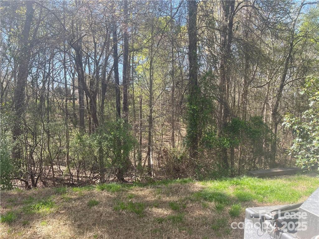 11917 Stratfield Pl Circle, Unit 118 Pineville, NC 28134 - Photo 27 of 28 a backyard of a house with lots of green space