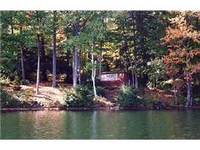182 West Shore Road New Hampton, NH 03256 - Photo 2 of 9