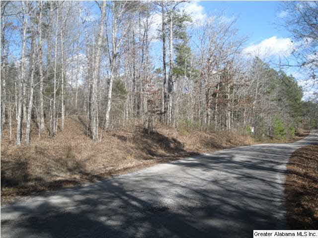 Turkey Ridge, Unit 36 Ragland, AL 35131 - Photo 4 of 13