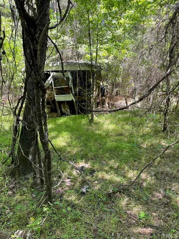 a view of a garden with plants