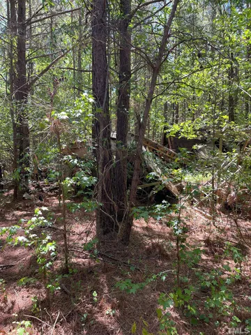 a backyard of a house with lots of trees