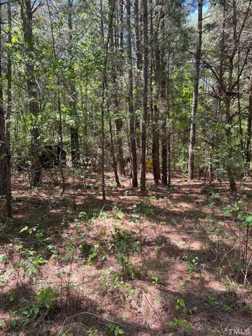 a view of outdoor space with trees