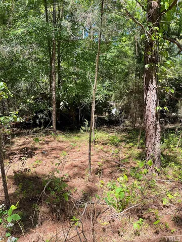 a backyard of a house with lots of plants and large trees