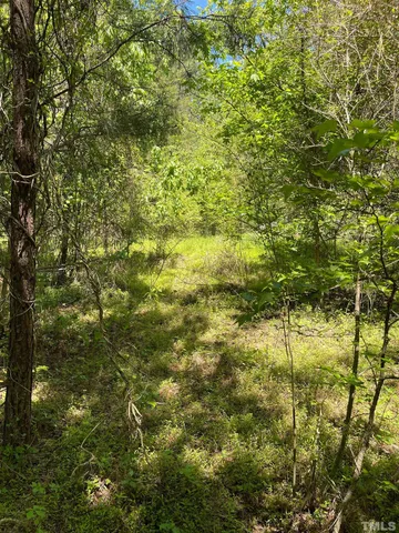 a view of a yard and trees
