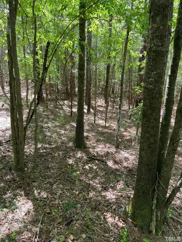 a view of outdoor space with lots of trees