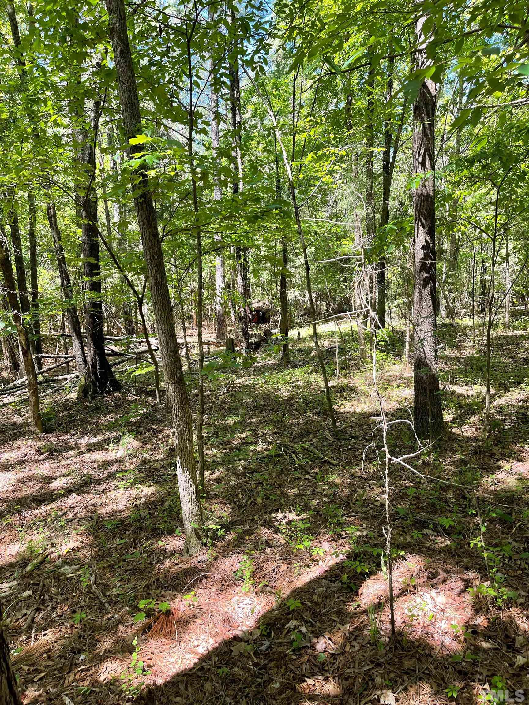 8661 Robert Morgan Road Bullock, NC 27507 - Photo 4 of 20 Gallery Image 4
