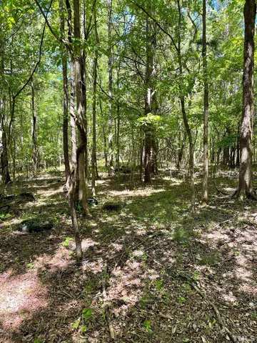 a view of outdoor space with trees all around