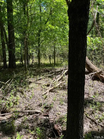 a view of a yard with plants and trees
