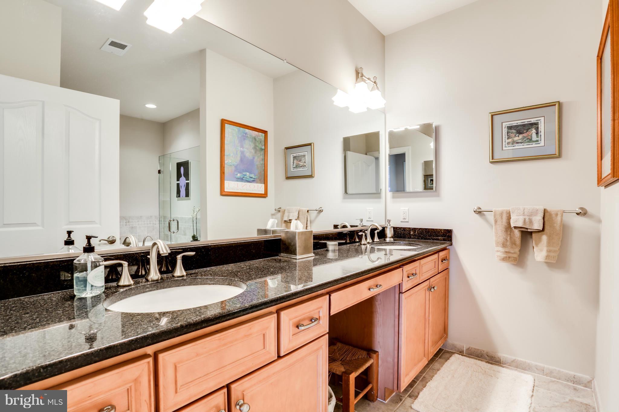 2609 Rockhampton Road Ellicott City, MD 21042 - Photo 18 of 30 Bath (Master)