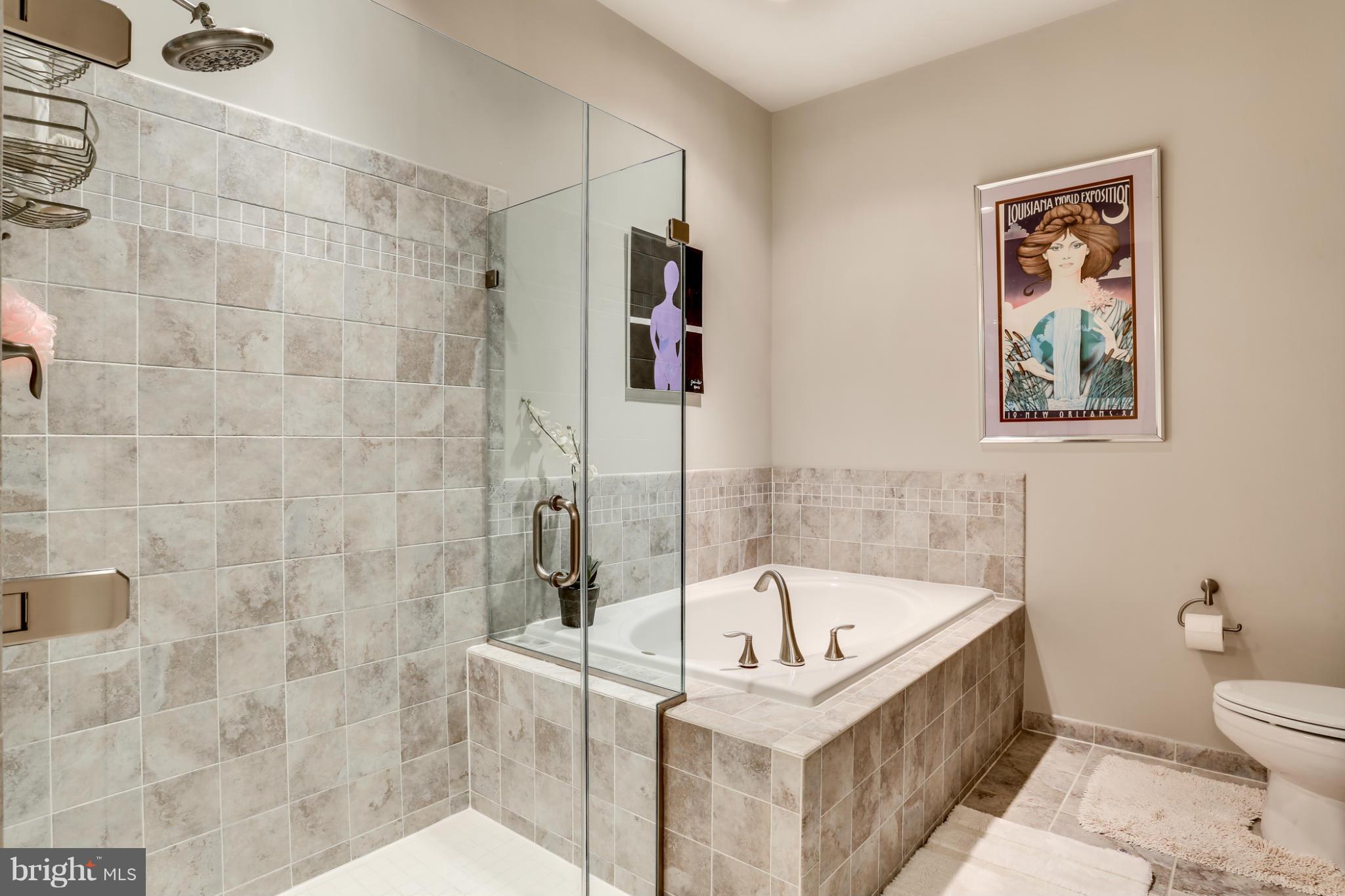 2609 Rockhampton Road Ellicott City, MD 21042 - Photo 19 of 30 Bath (Master)