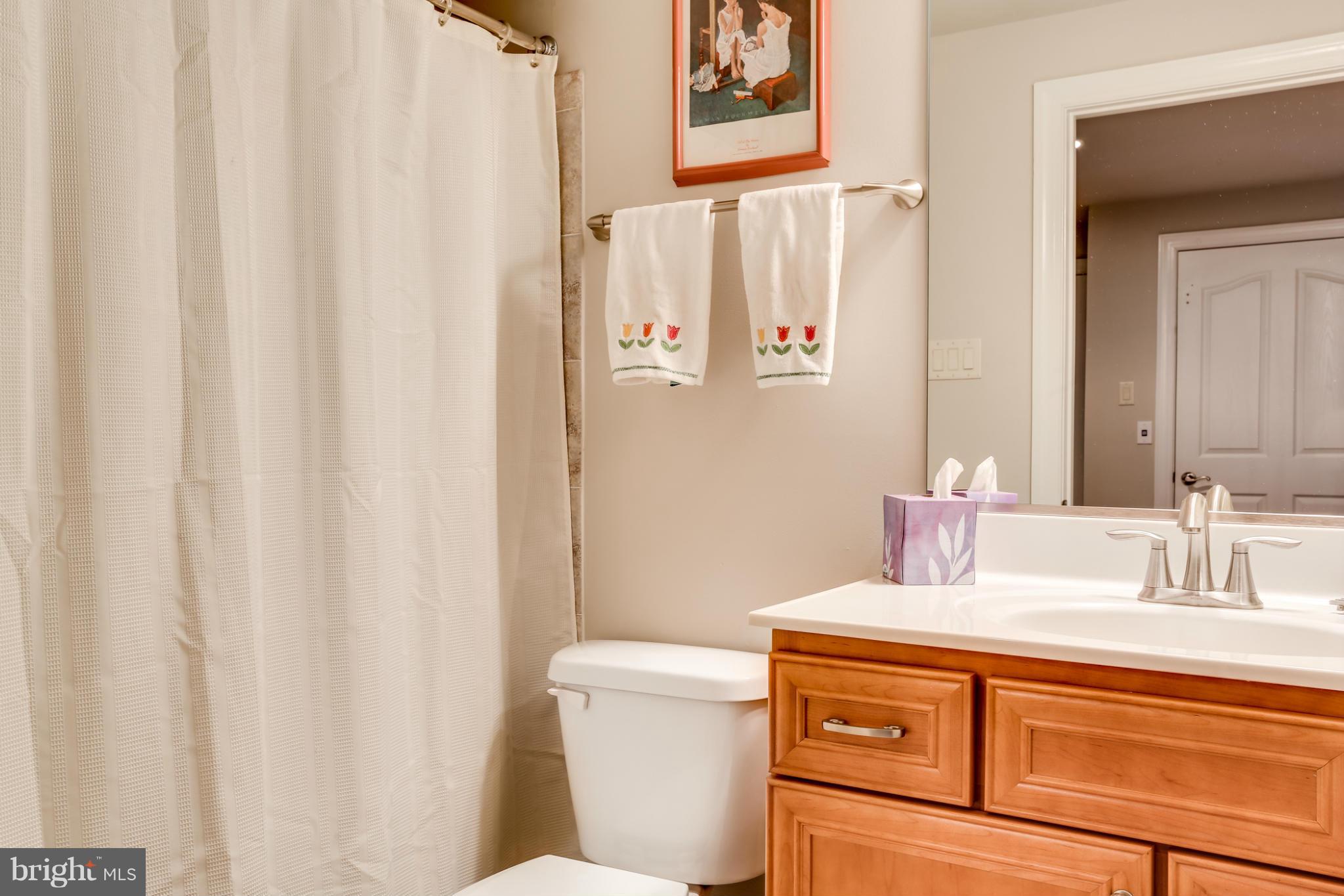 2609 Rockhampton Road Ellicott City, MD 21042 - Photo 22 of 30 Bath