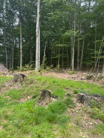 $45,000 | 14 Delavan Avenue, Greenfield, NY 12850