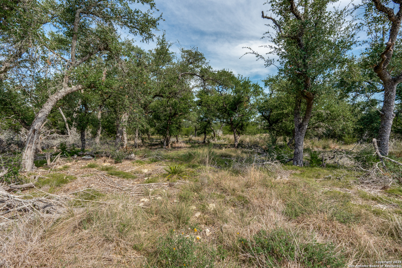 711 Vista Springs Spring Branch, TX 78070 - Photo 2 of 13