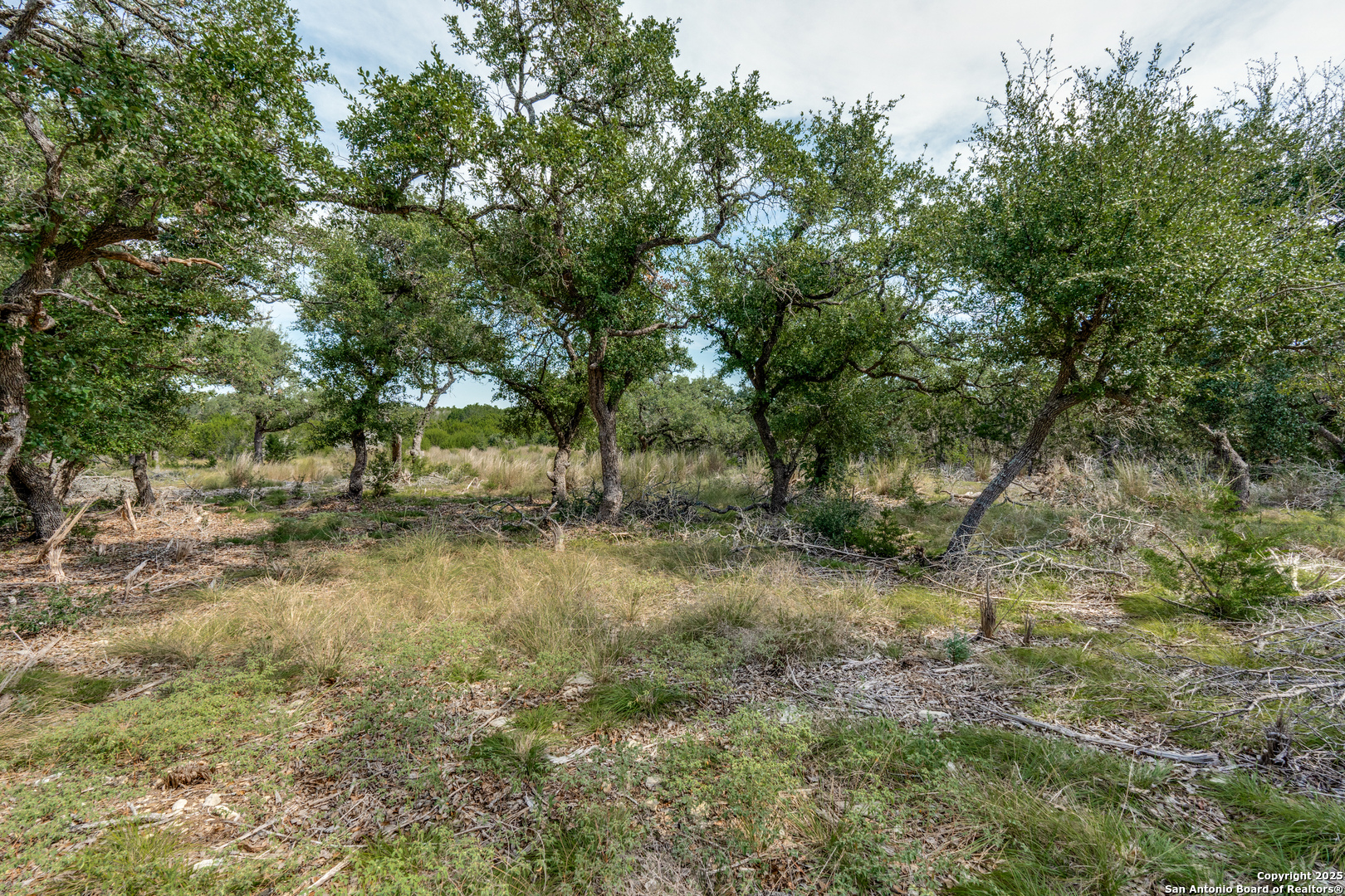 711 Vista Springs Spring Branch, TX 78070 - Photo 3 of 13