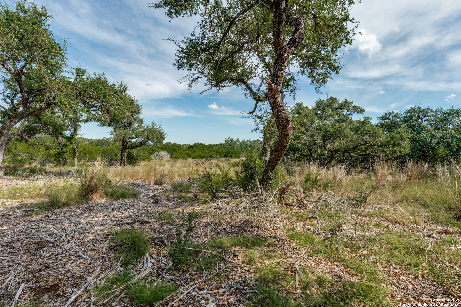 711 Vista Springs Spring Branch, TX 78070 - Photo 4 of 13