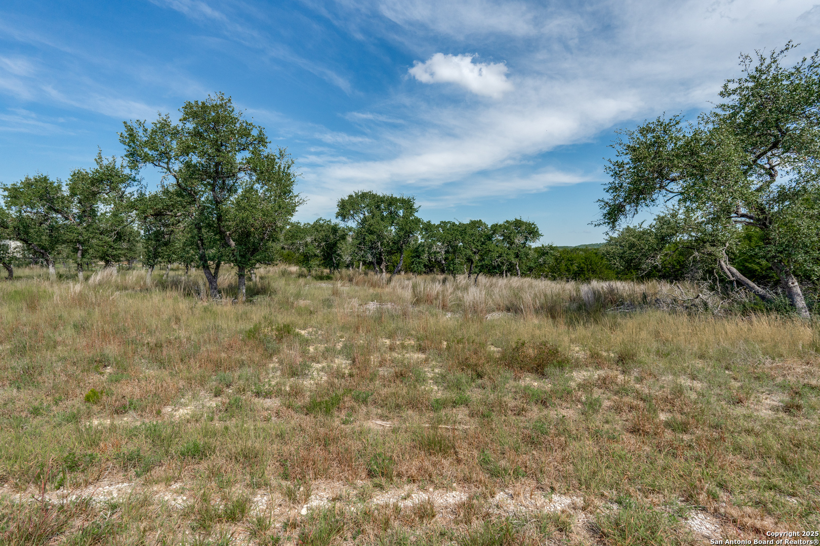 711 Vista Springs Spring Branch, TX 78070 - Photo 5 of 13
