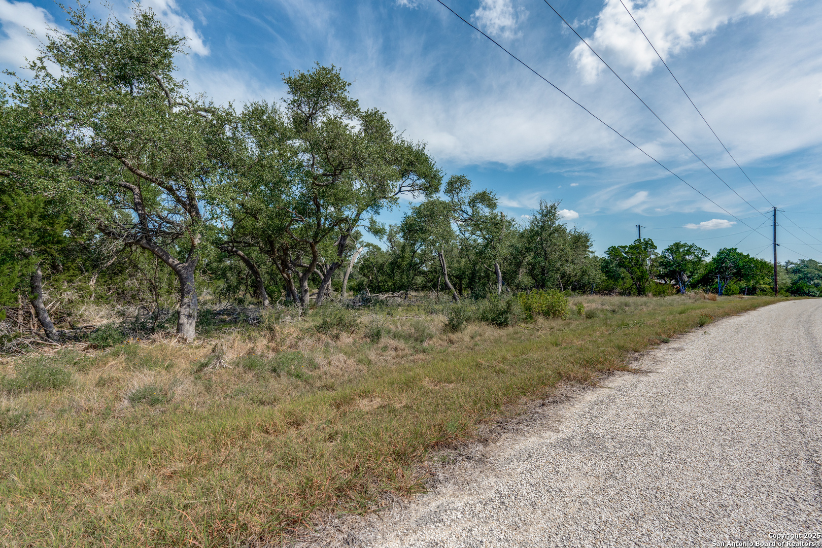711 Vista Springs Spring Branch, TX 78070 - Photo 6 of 13