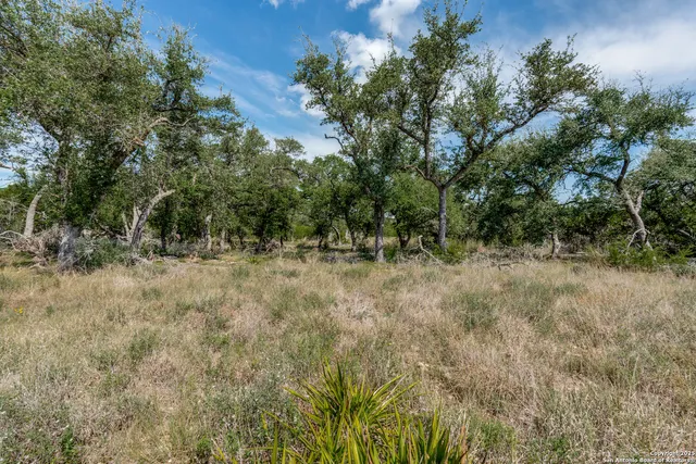 a view of outdoor space and trees
