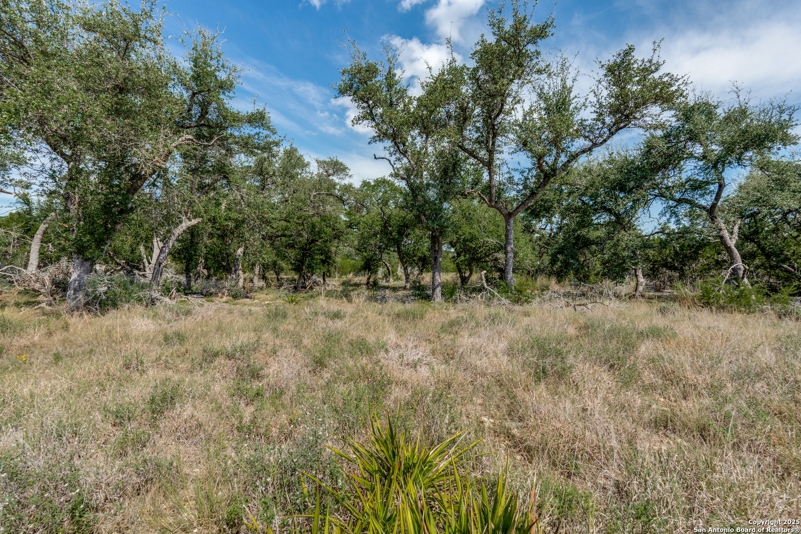711 Vista Springs Spring Branch, TX 78070 - Photo 8 of 13