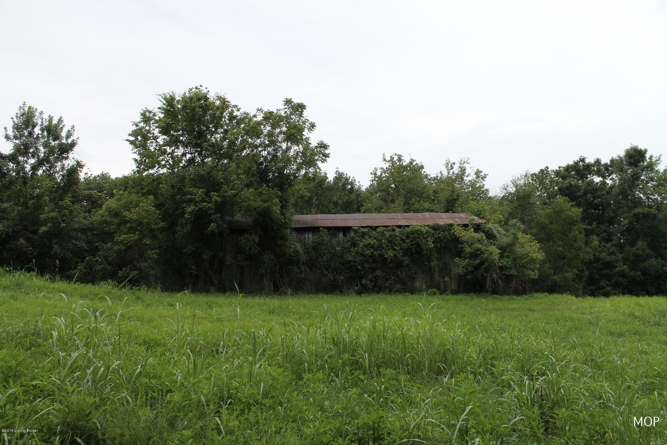 1000 Figett Bend Road Canmer, KY 42722 - Photo 49 of 61 IMG_2316