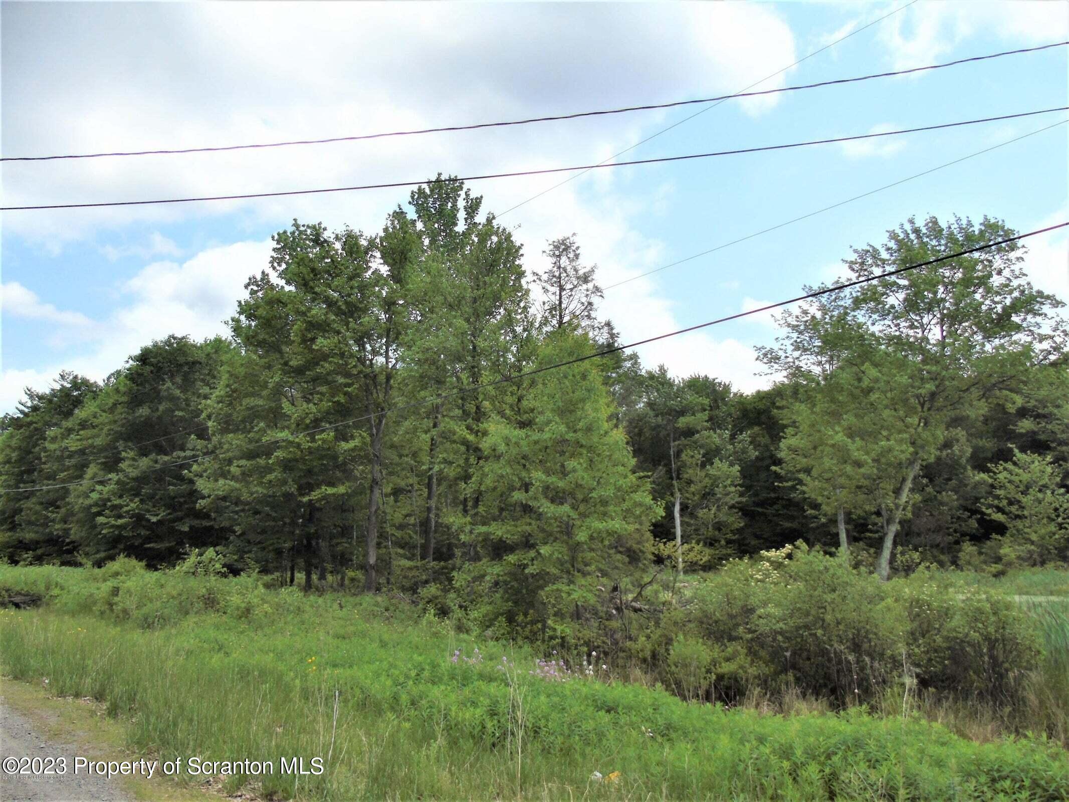 3 Saint Mary's Villa Road Moscow, PA 18444 - Photo 3 of 4 a view of a yard with an outdoor space
