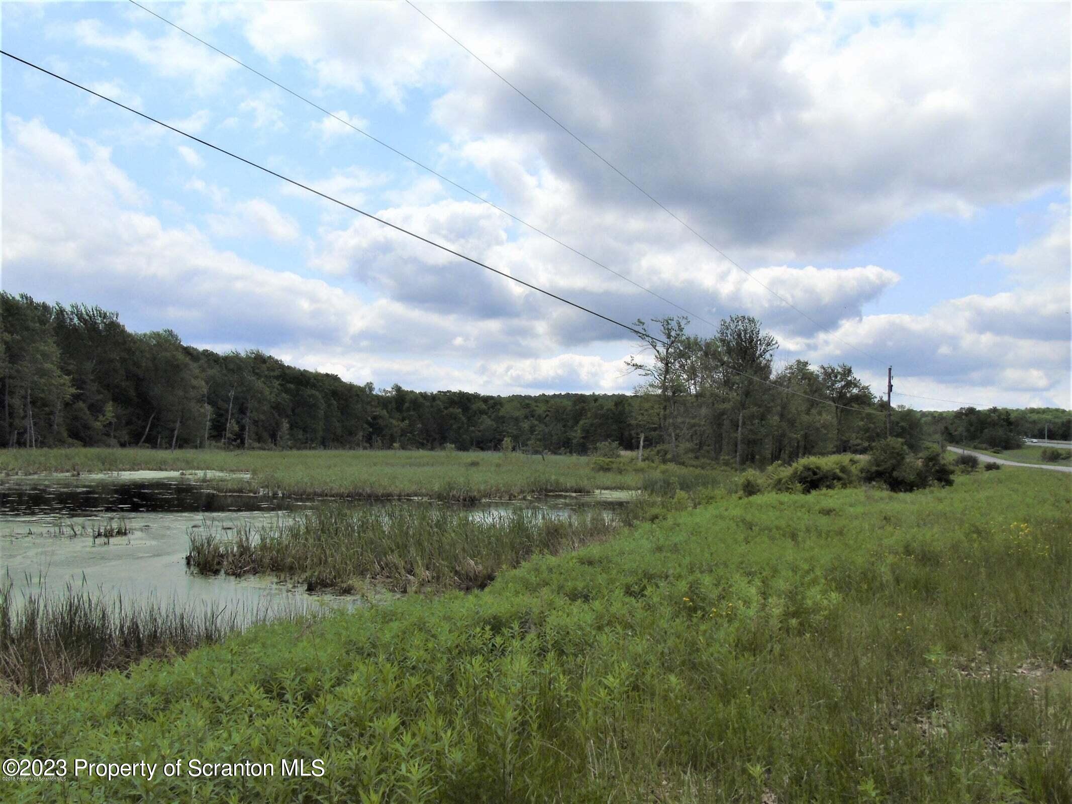 3 Saint Mary's Villa Road Moscow, PA 18444 - Photo 4 of 4 a view of a lake with a big yard