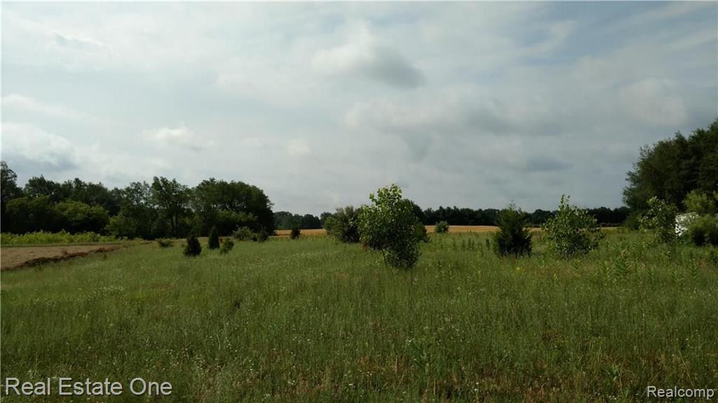 0 South Tipsico Lake Road Highland, MI 48357 - Photo 1 of 6