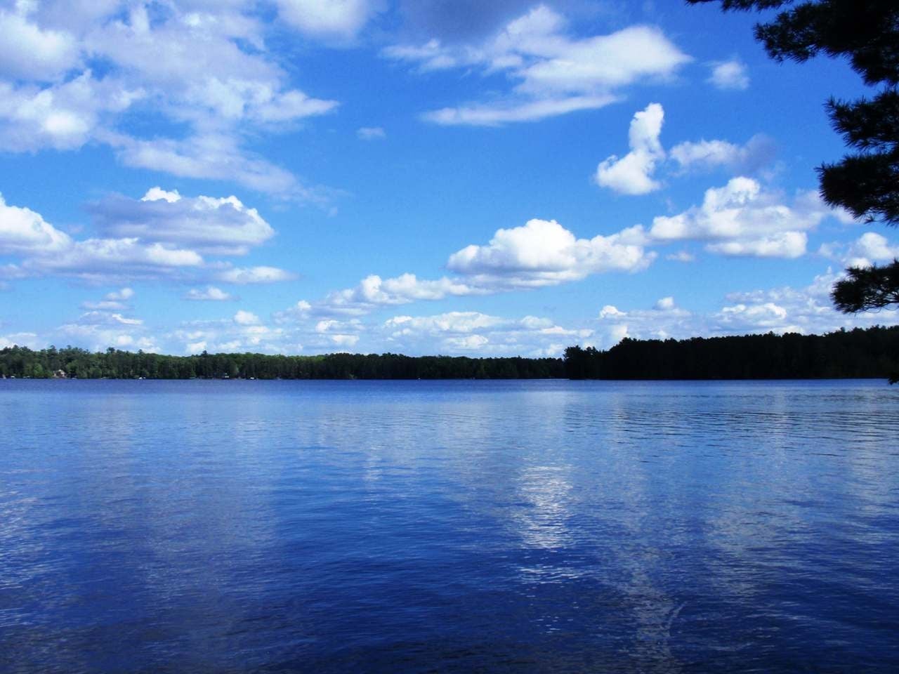 7668 Wheeler Island Road, Unit LOT #2 Three Lakes, WI 54562 - Photo 12 of 19 Gallery Image 12