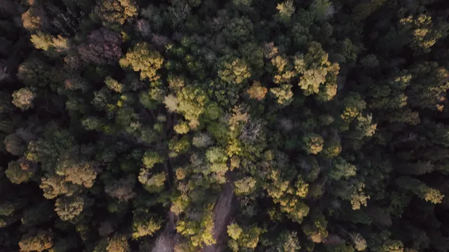 $115,750 | 1 Lyle Hollow Road, Palmyra, TN 37142