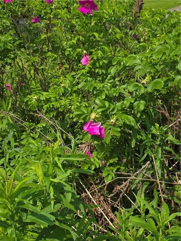 $120,000 | 2 Kathleen Street, Oxford, NY 13830