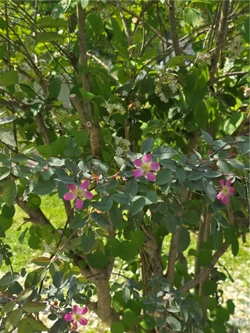 $120,000 | 2 Kathleen Street, Oxford, NY 13830