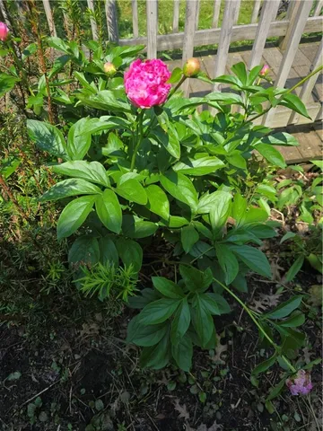 $120,000 | 2 Kathleen Street, Oxford, NY 13830