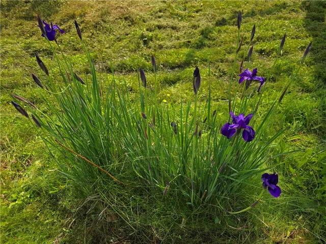 $120,000 | 2 Kathleen Street, Oxford, NY 13830