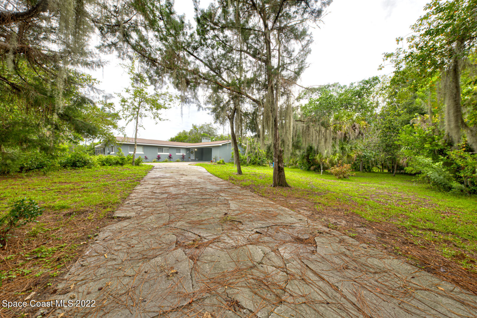 758 Buffalo Road Titusville, FL 32796 - Photo 48 of 52 a view of a park with large trees