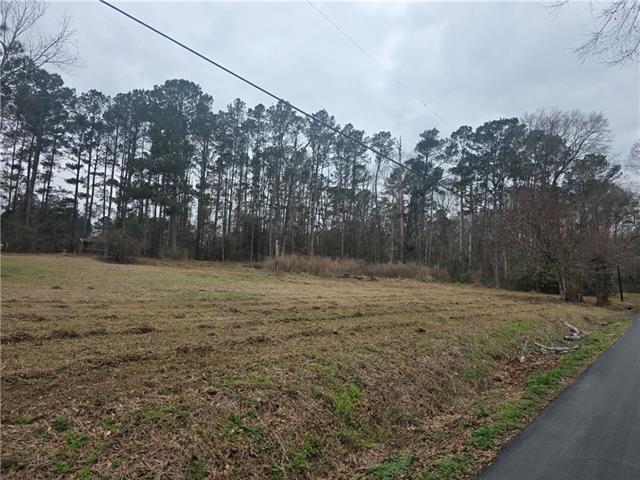 12462 Step Toe Road Roseland, LA 70456 - Photo 24 of 25 Gallery Image 24