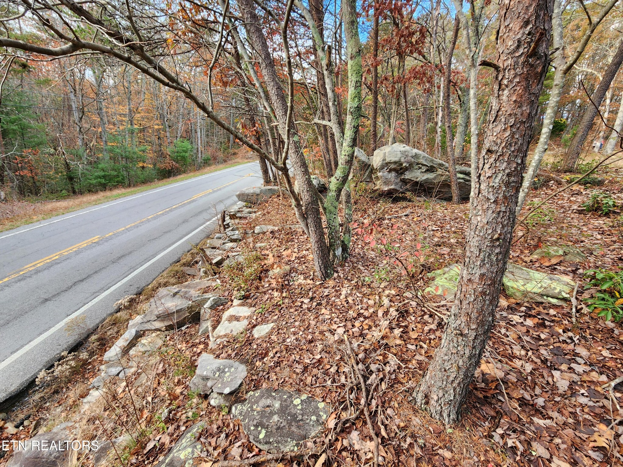 0 Kerrigan Road Crossville, TN 38555 - Photo 11 of 11 a view of a yard with wooden fence