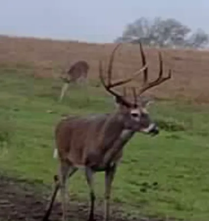 a balcony with table and chairs